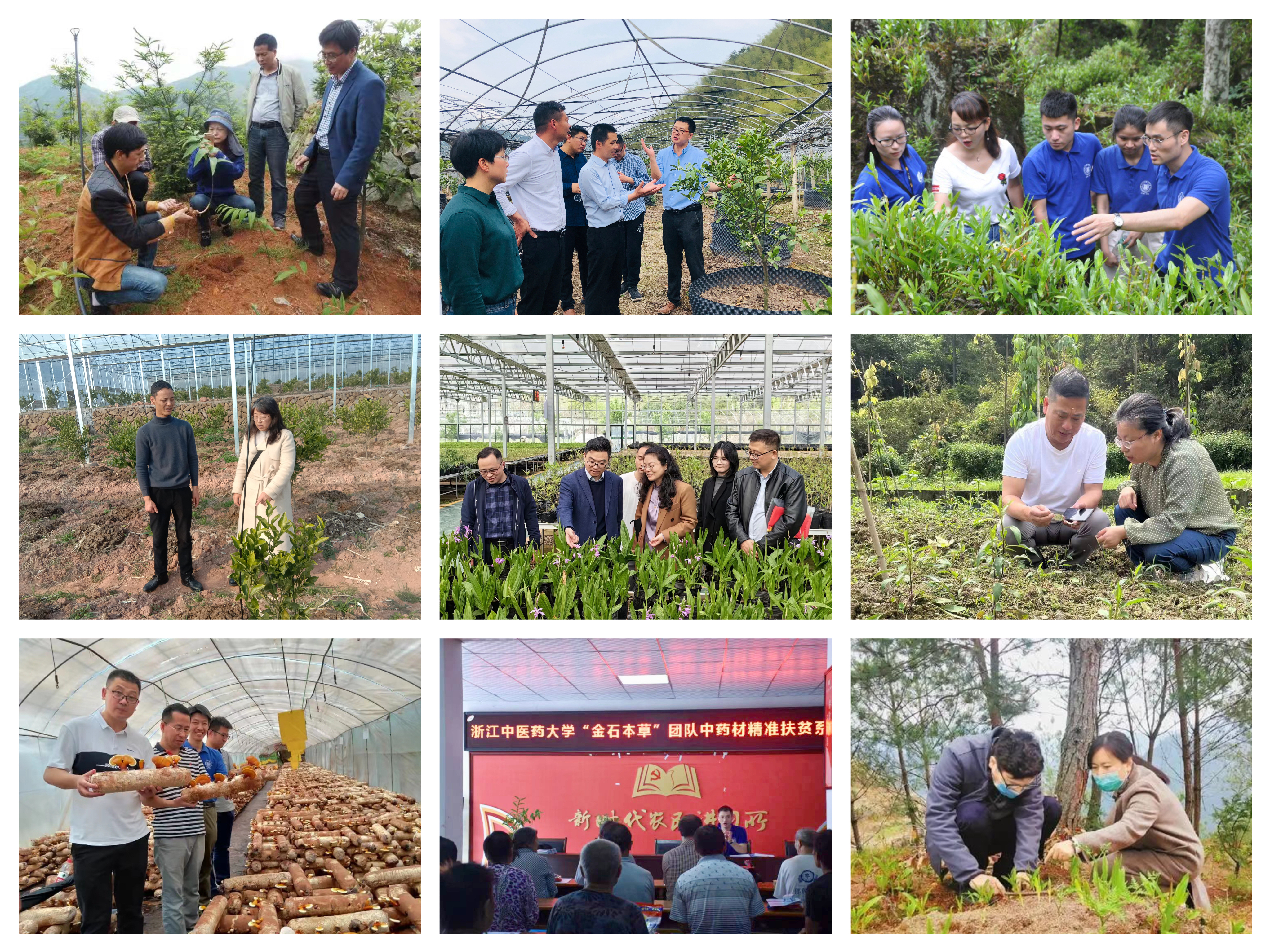 谈球吧(中国)官方网站